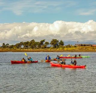 Students kayaking in coastal environment