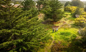 Hiking trails