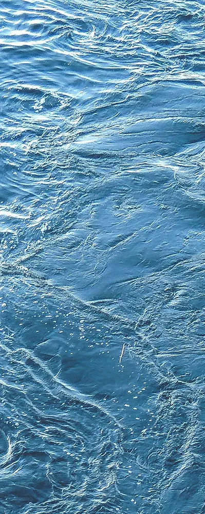 sea-surface-2000.png