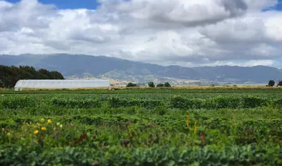 South Monterey County - Photo by Enid Baxter Ryce