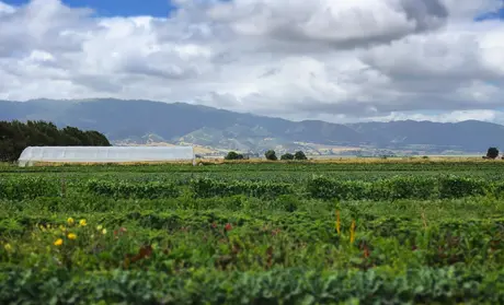 South Monterey County - Photo by Enid Baxter Ryce