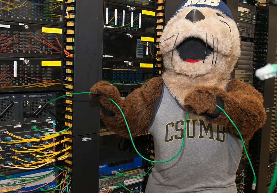 Monte in the server room