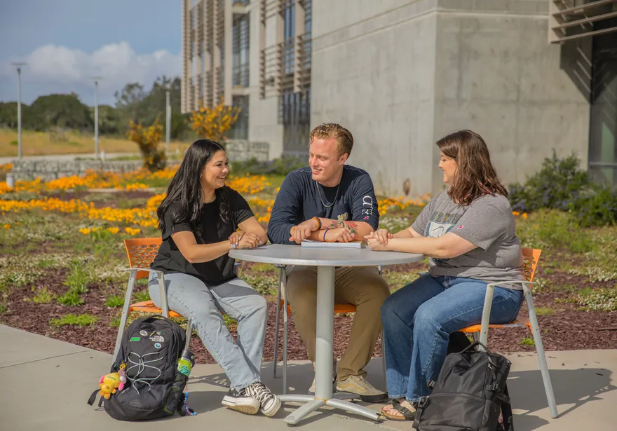 master of social work programs in california